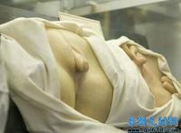 阴阳人生殅器真实图