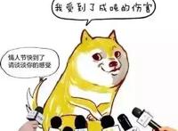 单身狗表情图片