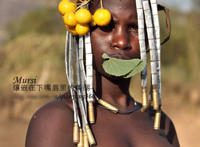 神农架野人图片