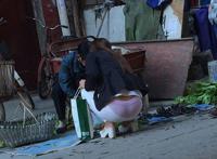 美女算命还有没有那样抄底吧