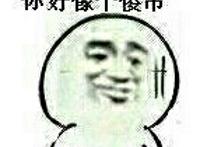 恕我直言,你好像个傻屌