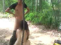 电动车车震惊视频