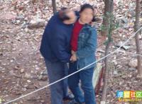 最新花甲之约日志列表