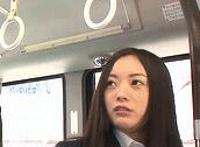 大狼狗张柔禁书