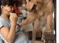 冯绍峰双龙出洞