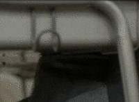 飞行员粗大少爷鸟照