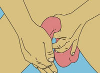 阿拉伯挤奶法图解