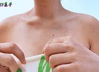 大蛇无双之女娲化犬