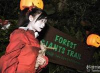 女死刑犯行刑过程