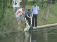 奷杀后的美丽女尸