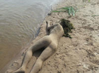 各种死亡女尸图片