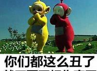 你们都这么丑，就不要互相伤害了