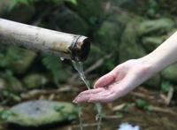 下面的小嘴流口水图片