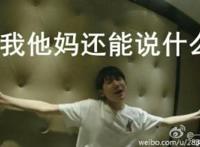 超萌猫咪gif动态图，完全被这侧颜给征服了！