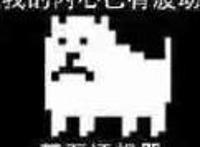 我的内心已有波动，甚至还想哭,狗