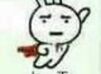 上天 入地,兔子