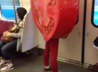 朋友，你这是有多喜欢番茄