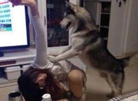 主人，我这力道可以不