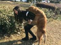 啊汪。那是你主人不想活了？