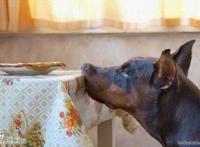 我就静静的看着而已阿汪