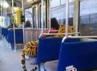 谁敢和它抢座位