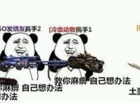 土豪快救我守不住图片