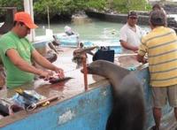 搞笑图片笑死人不偿命:我要这条鱼，嗯，记得切一下鱼头，骨头太难啃了