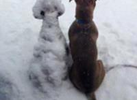 今天告别了单身狗这个称呼