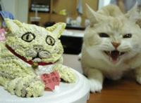 混蛋，就给朕整这么一个破生日蛋糕