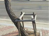 我有我的梦想，请不要束缚我！