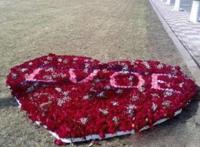 就这英语水平就别玩浪漫了吧