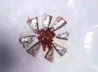 今天终于吃到了听闻已久的剁椒鱼头！