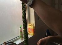 切黄瓜的最高境界