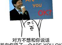 对方不想和你说话并向你扔了一个are you ok 雷军。。