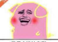 你是猪吗？？VIP：我是按猪拉卑鄙