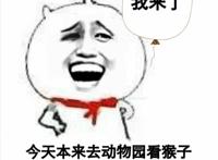 我来了，今天本来去动物园看猴子的，可是动物园关门了，所以来看你们！