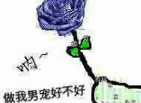 呐送花~做我男宠好不好