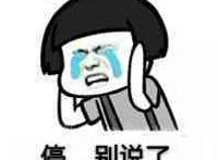 抱头痛哭：停，别说了