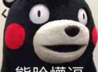熊脸懵逼