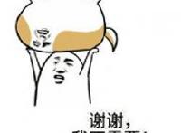 不想跟你说话并向你扔了只狗：谢谢，我不需要！