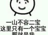 呆傻的孩子：一山不容二宝，这里只有一个宝宝，那就是我