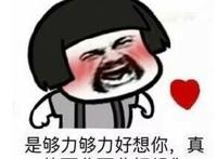 好想你：是够力够力好想你， 真的西北西北好想你