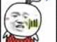 穿着红衣服的植物：无语