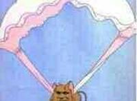 老鼠拿胸罩当降落伞