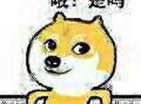 神烦狗：哦！是吗