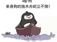唯有单身狗的独木舟屹立不倒！