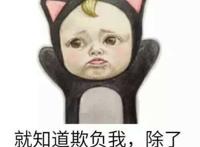 就知道欺负我，除了欺负我你还会干啥？