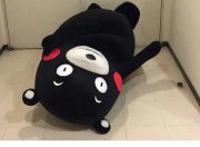 熊本熊：我得了一种不吃就会死的病