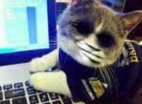 眼睛都是黑的猫：你不爱我了吗