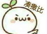 颜文字：凑撒比